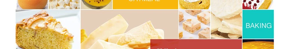 Customized freeze dried lemon Slices Customized freeze dried lemon Slices